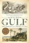 The Gulf: The Making of An American Sea By Jack E. Davis Cover Image