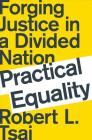 Practical Equality: Forging Justice in a Divided Nation Cover Image