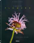 A Tribute to Flowers: Plants Under Pressure Cover Image