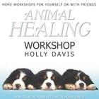 Animal Healing Workshop Lib/E By Holly Davis (Read by), Aramara (Soloist) Cover Image