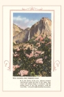 The Vintage Journal Wild Azaleas at Yosemite Cover Image