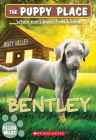 Bentley (The Puppy Place #53) Cover Image