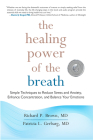 The Healing Power of the Breath: Simple Techniques to Reduce Stress and Anxiety, Enhance Concentration, and Balance Your Emotions By Richard P. Brown, MD, Patricia L. Gerbarg, M.D. Cover Image