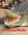 Crocs and Rocks: Band 06/Orange (Collins Big Cat Phonics for Letters and Sounds) By Teresa Heapy, Collins Big Cat (Prepared for publication by) Cover Image