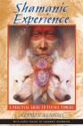 Shamanic Experience: A Practical Guide to Psychic Powers By Kenneth Meadows Cover Image