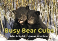 Busy Bear Cubs (A Busy Book) Cover Image