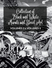 Collection of Black and White Murals and Street Art - Volumes 2 and 3: Two Photographic Books on Urban Art and Culture Cover Image