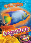 Angelfish Cover Image