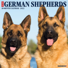 Just German Shepherds 2022 Wall Calendar (Dog Breed) Cover Image
