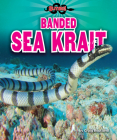 Banded Sea Krait By Craig Boutland Cover Image