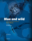 Blue and Wild: Amazing Marine Animals of Baja California By Yuri Albores Barajas Cover Image