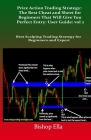 Price Action Trading Strategy: The Best Cheat and Sheet for Beginners That Will Give You Perfect Entry: User Guide: vol 2: Best Scalping Trading Stra Cover Image
