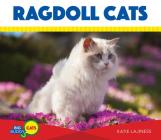 Ragdoll Cats (Big Buddy Cats) By Katie Lajiness Cover Image