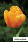 Address Book.: (Flower Edition Vol. E83) Orange Tulip Design. Glossy Cover, Large Print, Font, 6