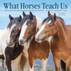 What Horses Teach Us 2024 7 X 7 Mini Wall Calendar By Willow Creek Press Cover Image