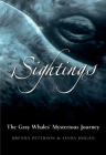 Sightings: The Gray Whales' Mysterious Journey (Adventure Press) Cover Image