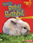 Meet a Baby Rabbit By Jennifer Boothroyd Cover Image