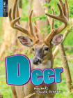 Deer (Animals of North America) By Christine Webster Cover Image