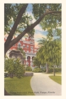 Vintage Journal University Plant Park, Tampa, Florida By Found Image Press (Producer) Cover Image