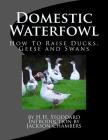 Domestic Waterfowl: How To Raise Ducks, Geese and Swans By Jackson Chambers (Introduction by), H. H. Stoddard Cover Image