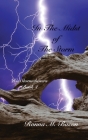 In The Midst of The Storm Cover Image