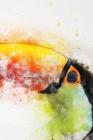 Toucan Notebook Cover Image