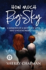 How Much Big Is the Sky: A Memoir of a Mother's Love and Unfathomable Loss By Sherry Chapman Cover Image