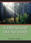A Friendship Like No Other: Experiencing God's Amazing Embrace By William A. Barry, SJ Cover Image