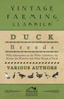 Duck Breeds - With Information on the White Aylesbury, the Rouen, the Muscovy and Other Breeds of Duck By Various Cover Image