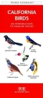 Idaho Birds: A Folding Pocket Guide to Familiar Species (Pocket Naturalist Guide) Cover Image
