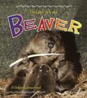 Beaver (Bobbie Kalman Books) By Bobbie Kalman Cover Image