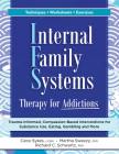 Internal Family Systems Therapy for Addictions: Trauma-Informed, Compassion-Based Interventions for Substance Use, Eating, Gambling and More By Cece Sykes, Martha Sweezy, Richard Schwartz Cover Image