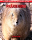 Präriehund: Lustige Fakten und sagenhafte Bilder By Juana Kane Cover Image