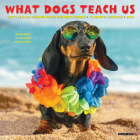 What Dogs Teach Us 2025 7 X 7 Mini Wall Calendar By Willow Creek Press Cover Image