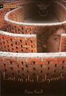 Lost In The Labyrinth Cover Image