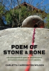 Poem of Stone and Bone: The Iconography of James W. Washington Jr. in Fourteen Stanzas and Thirty-One Days By Carletta Carrington Wilson, Susan Noyes Platt (Foreword by), Anna Bálint (Essay by) Cover Image
