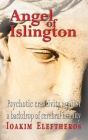 Angel of Islington By Ioakim Eleftheros Cover Image