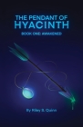 The Pendant of Hyacinth By Riley S. Quinn Cover Image