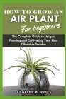 How to Grow an Air Plant for Beginners: The Complete Guide to Unique Planting and Cultivating Your First Tillandsia Garden Cover Image