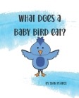 What Does A Baby Bird Eat? By Sian Pearce Cover Image