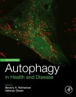 Autophagy in Health and Disease By Beverly Rothermel (Editor), Abhinav Diwan (Editor) Cover Image