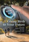 Giving Birth to Your Future: Accessing Divine Provisions for Your God Given Vision By Femi Lanre Oke Cover Image