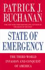 State of Emergency: The Third World Invasion and Conquest of America Cover Image