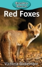 Red Foxes By Victoria Blakemore Cover Image