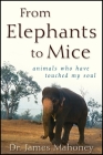 From Elephants to Mice: Animals Who Have Touched My Soul By James Mahoney Cover Image