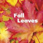 Fall Leaves (Celebrate Fall) Cover Image