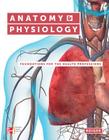 Anatomy & Physiology: Foundations for the Health Professions with Connect Access Card By Deborah Roiger Cover Image