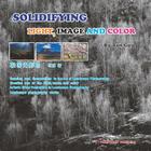 Solidifying Light, Image and Color Cover Image