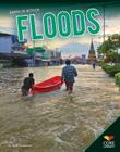 Floods (Earth in Action) Cover Image