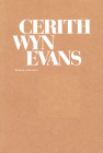 Cerith Wyn Evans Cover Image